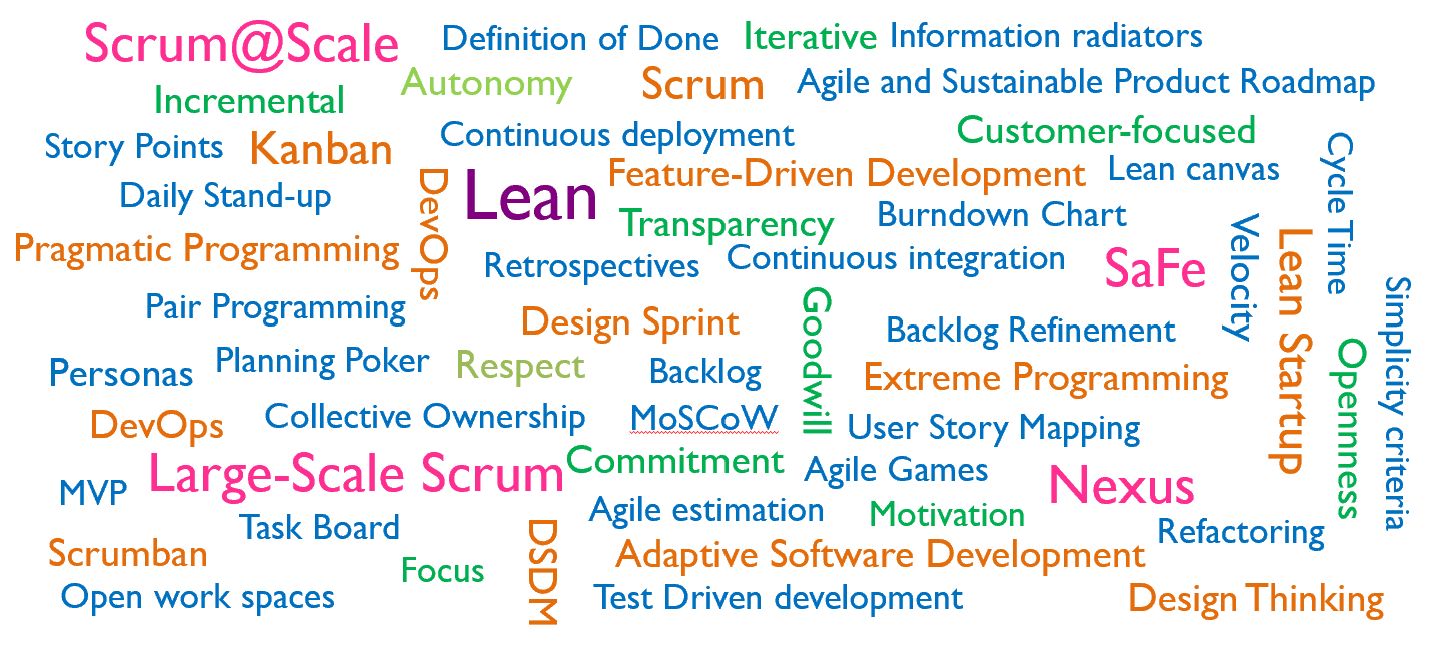 Agile Jungle