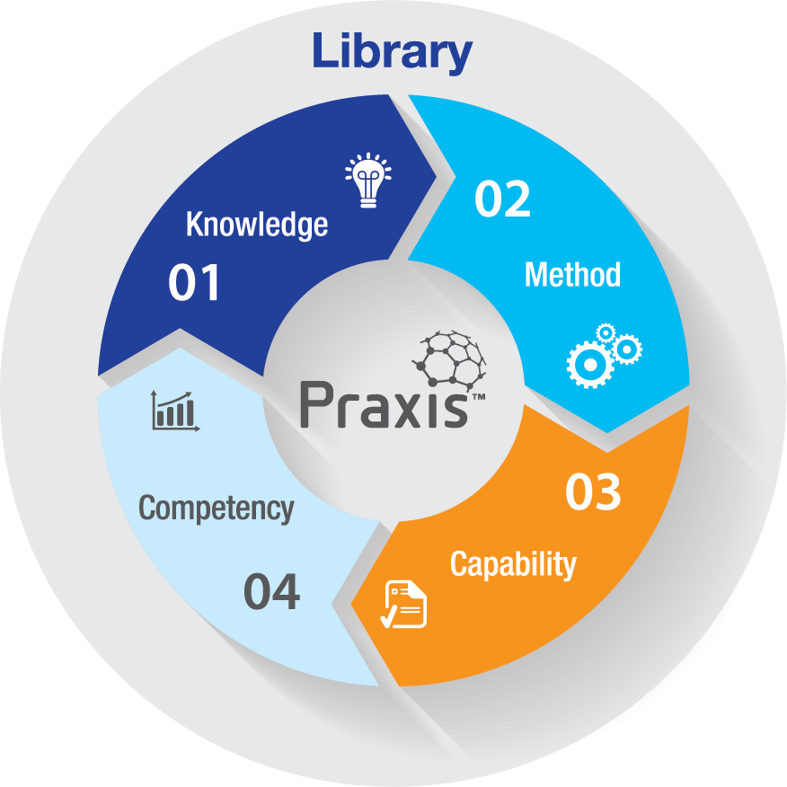 PraxisFramework Model