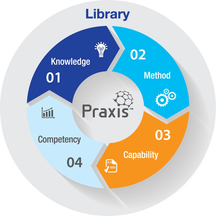 PraxisFramework Model